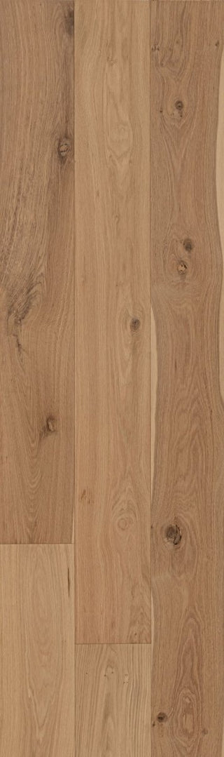 Ingénierie Chêne Blanc  Brossé ABCD - Club 3mm top